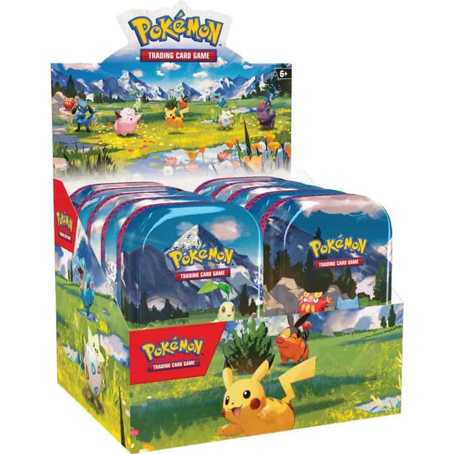 Displays & Cases